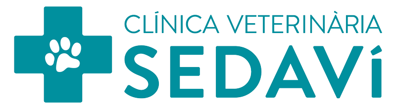 wawi veterinaria