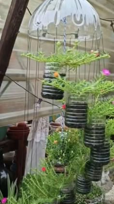 yin yang agroveterinaria jardineria 1