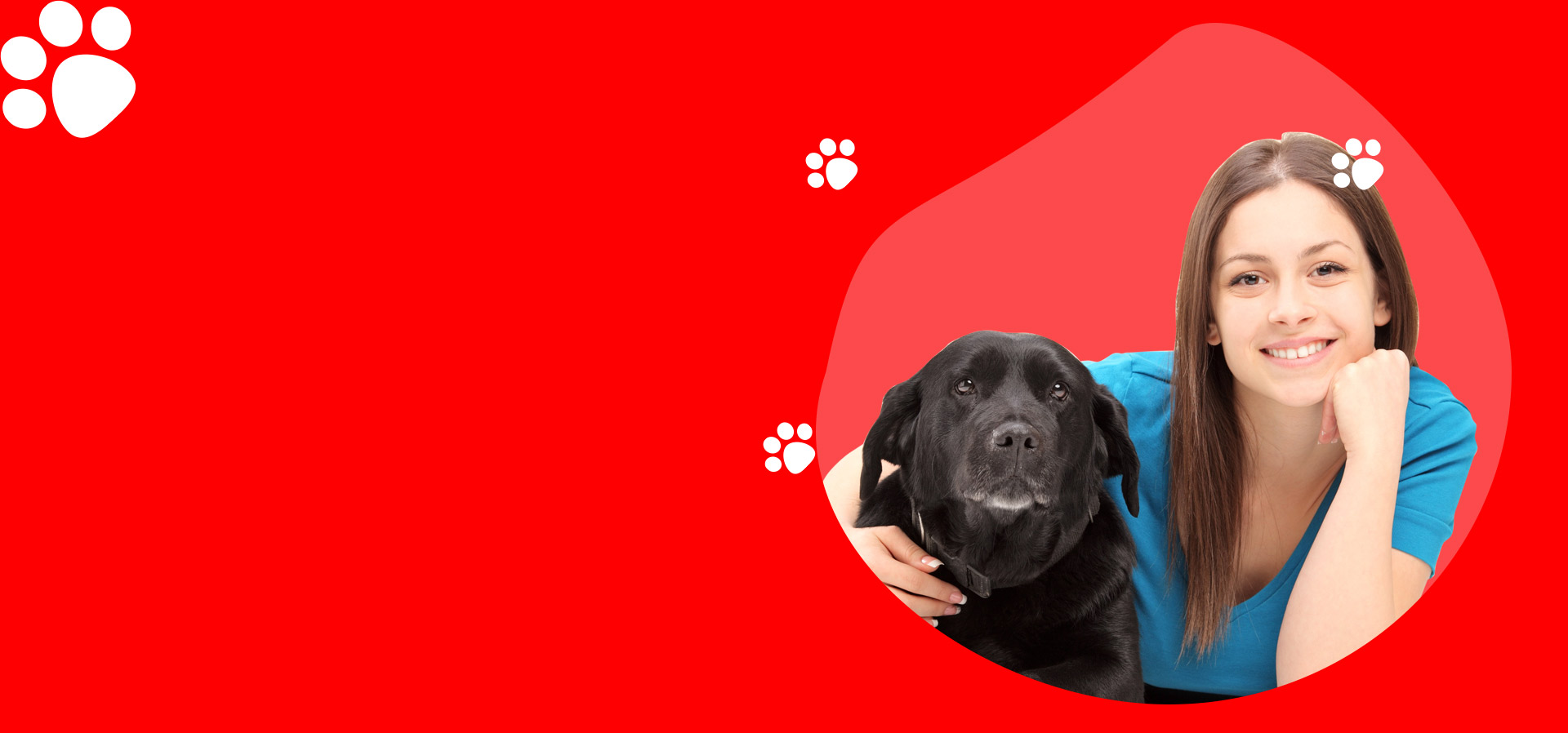 zoo mascota clinica veterinaria 1