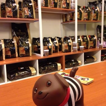 zoona animal veterinaria 1