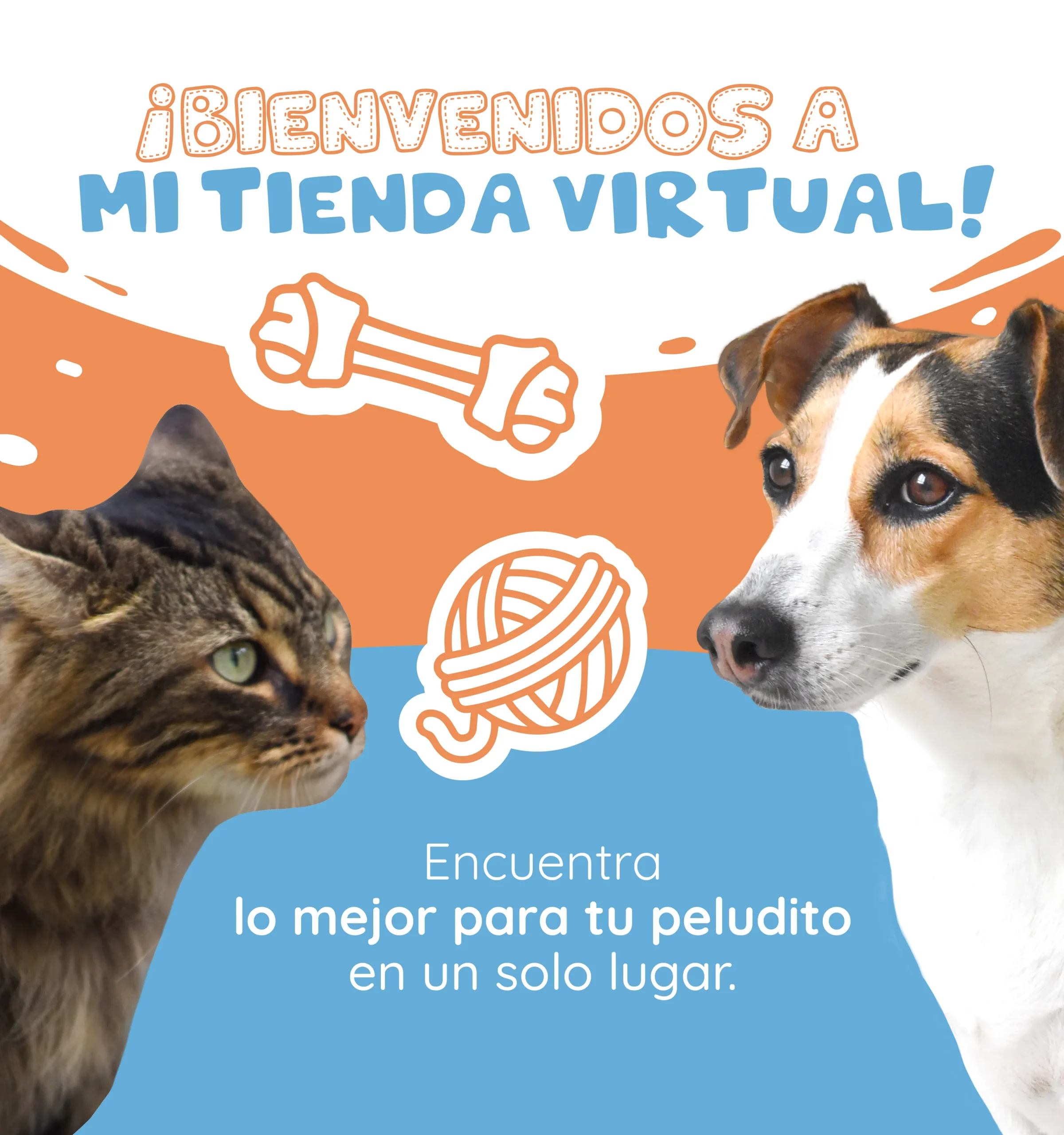 zoona animal veterinaria